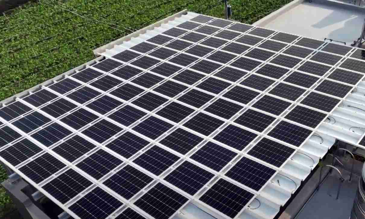 尊龙z6SunSteel光电浪板升级双玻结构，，以提升机械负载强度及气候耐候度，，，，可广泛运用于多元场域